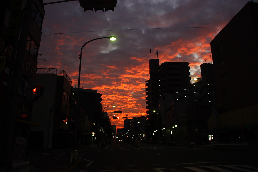 c0030874_167230.jpg