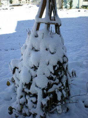 e0014678_2123988.jpg