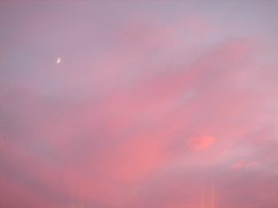 f0136579_23403714.jpg