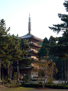 b0014587_17364442.jpg
