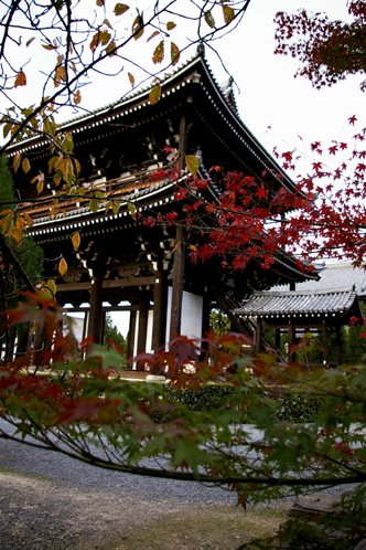 b0080789_2157345.jpg