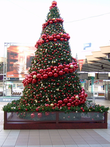 b0104592_17424669.jpg
