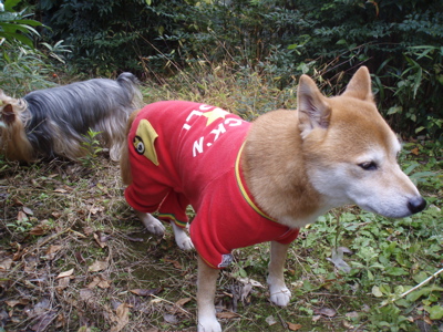 f0130894_2124266.jpg