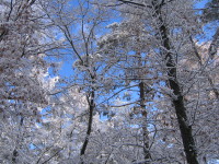e0049598_201109.jpg