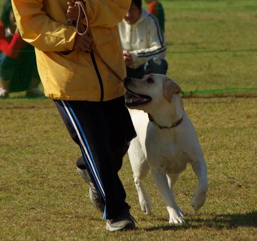 d0091700_22362955.jpg