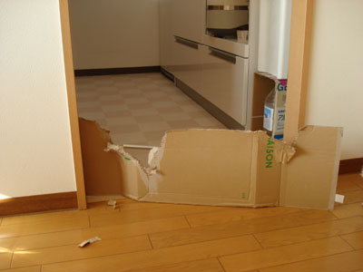 a0050802_2340041.jpg