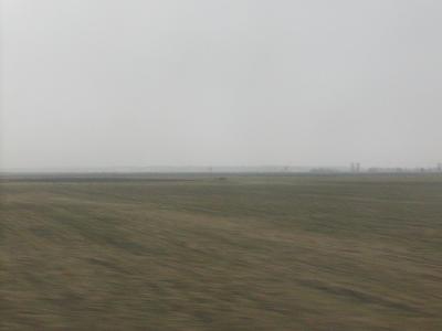 f0021504_591423.jpg