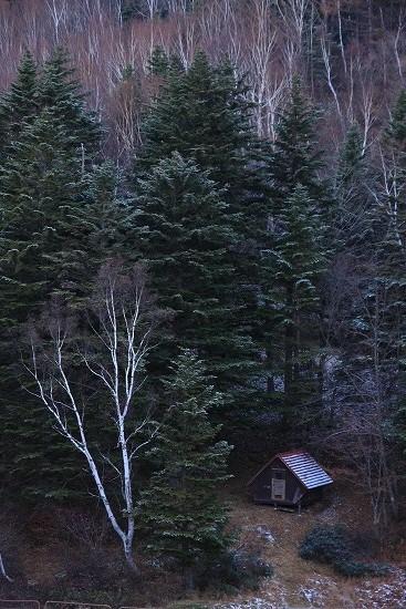 c0130306_22354092.jpg