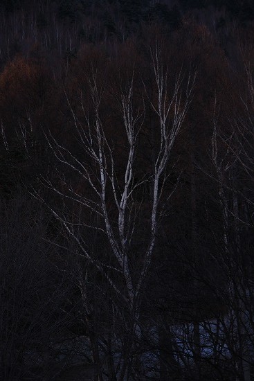 c0130306_2238351.jpg