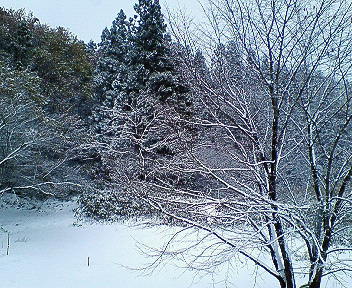 b0110708_1437851.jpg