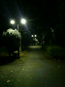 f0127408_23474672.jpg