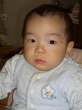 a0065309_23113077.jpg