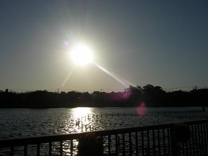 c0097309_16291760.jpg