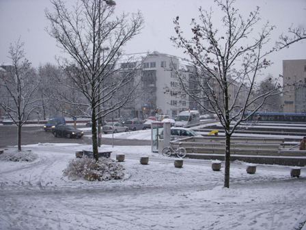 f0004309_1073388.jpg