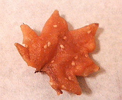 b0019820_18414166.jpg