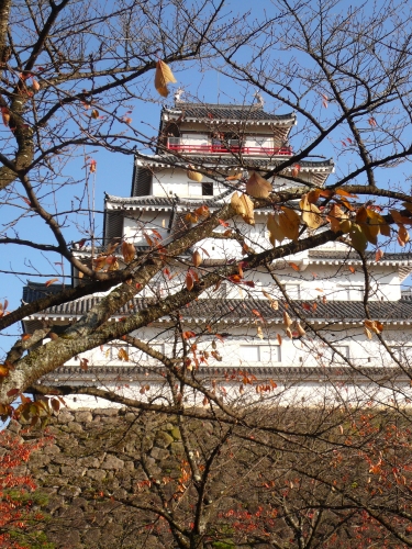 f0128821_19542647.jpg