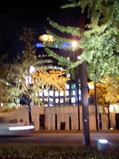 d0066024_22232772.jpg