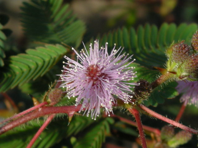 d0127926_2015252.jpg