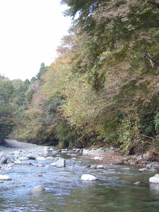 f0103126_20462197.jpg
