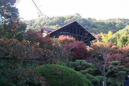 f0063729_11113528.jpg