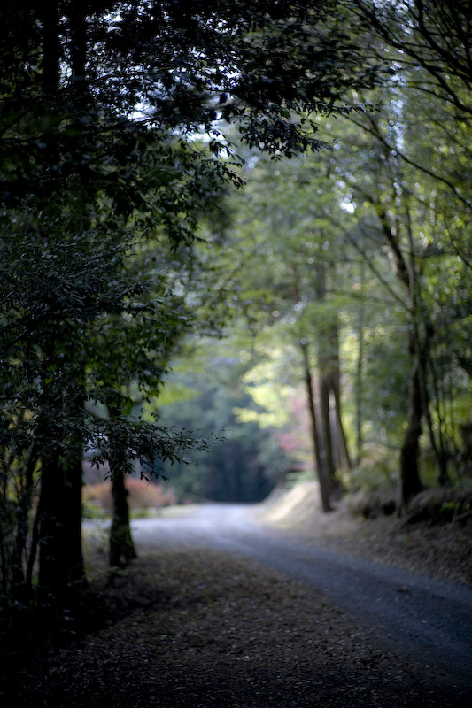 d0004832_9514838.jpg