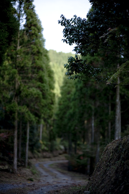 d0004832_9522499.jpg
