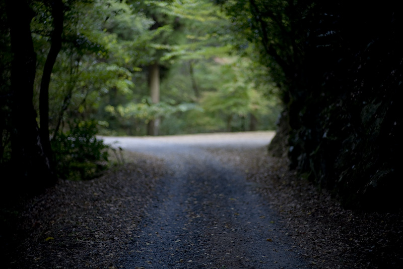 d0004832_952837.jpg