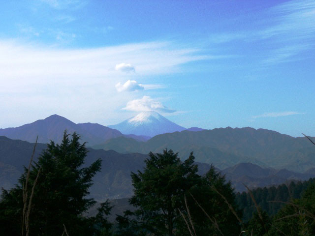 a0009035_1541196.jpg