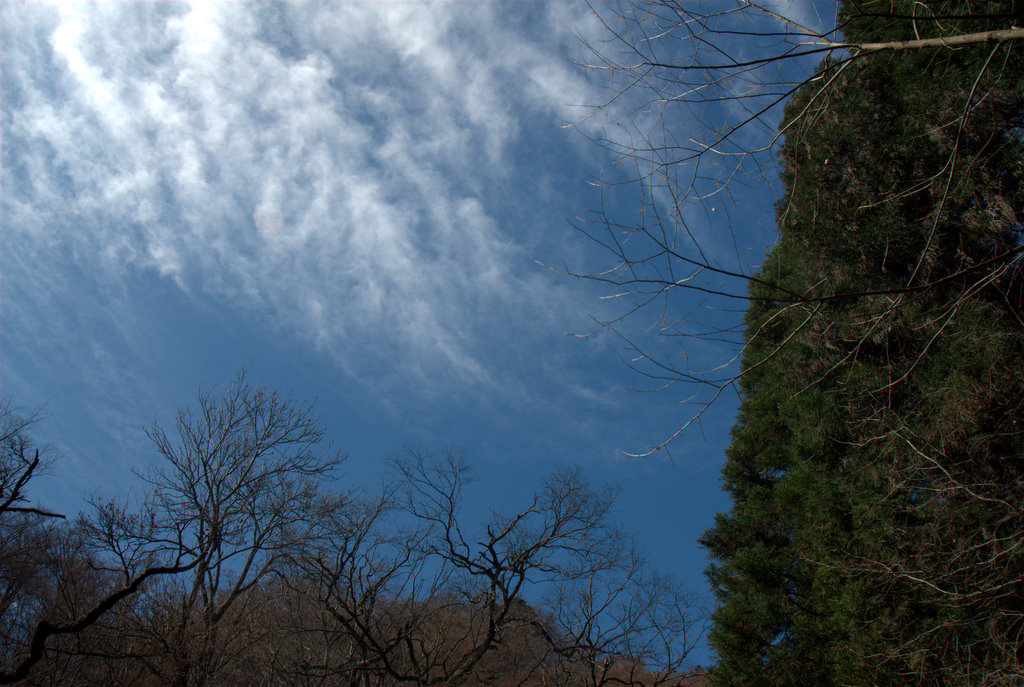 f0032335_22121097.jpg