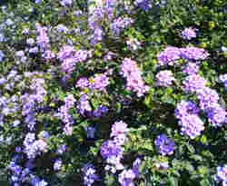 d0107938_13475773.jpg