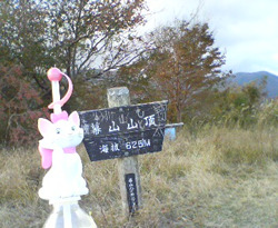 d0107938_14164575.jpg