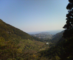 d0107938_1454751.jpg