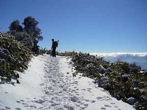 f0065941_21425074.jpg