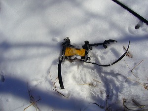 f0065941_21541564.jpg