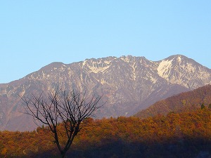 f0065941_21564699.jpg