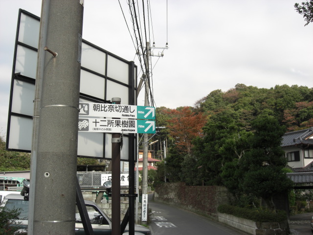 e0019442_21525632.jpg