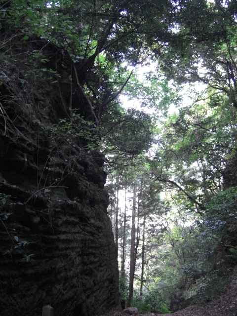 e0019442_21594135.jpg