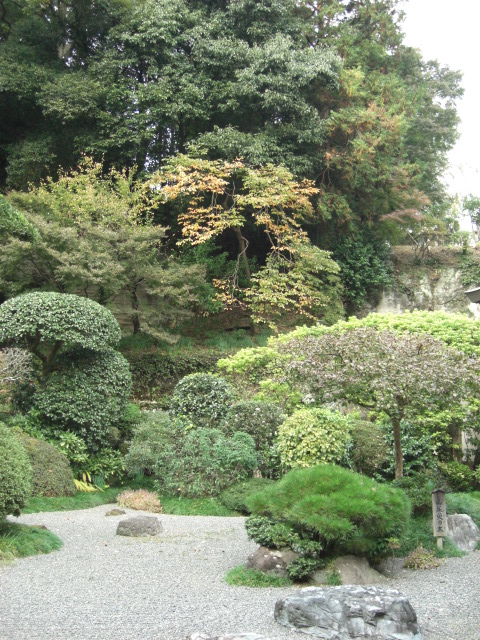 e0019442_22264475.jpg
