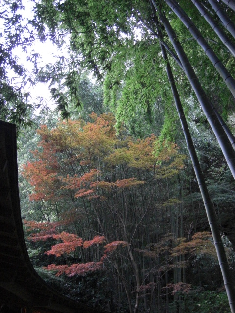 e0019442_22294963.jpg