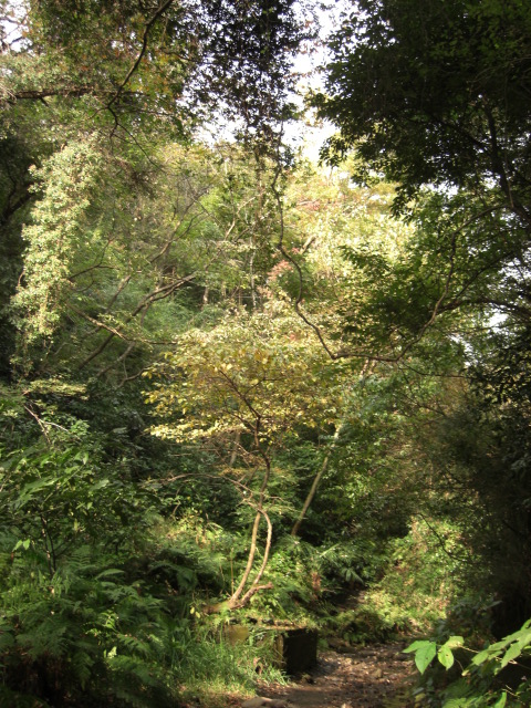 e0019442_2234872.jpg