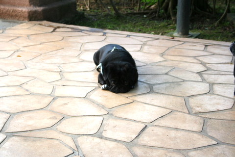 e0018143_218254.jpg