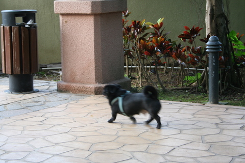e0018143_2184971.jpg