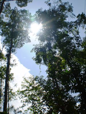e0027447_2141260.jpg
