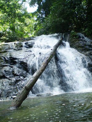 e0027447_21445839.jpg