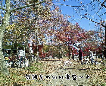 d0013149_0235692.jpg