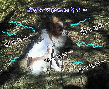 d0013149_1371086.jpg