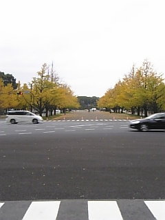 c0069552_1172521.jpg