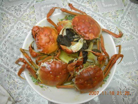 d0072052_015930.jpg