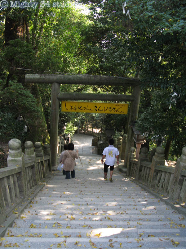 f0006253_16321145.jpg