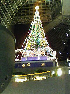 f0108557_1215534.jpg